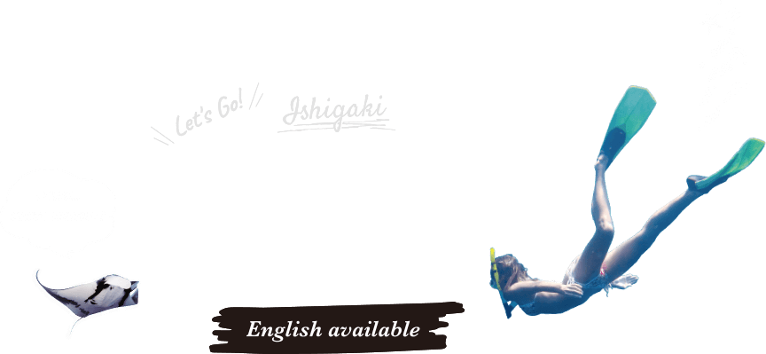 Snorkelling Traial Diving